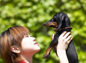 ペットと一緒に安心移動！大阪で利用できるペット専用タクシーサービスの完全ガイド