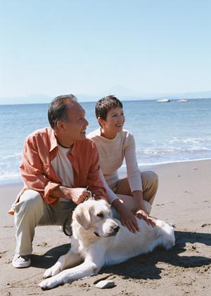 東京の信頼できる犬のしつけ教室