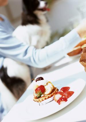 隠れ屋的なフクロウカフェについて