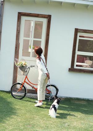 ペットの健康管理に役立つ最新通販サービスを徹底解説