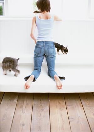 信頼と実績のアサンテによるシロアリ駆除サービス｜即日対応・土日祝も受付