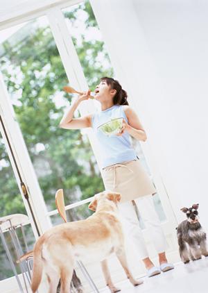 ワクチン接種を依頼する動物病院には