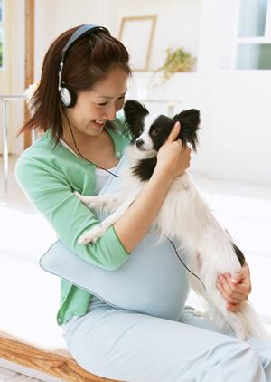 ビションフリーゼが飼いたいなら