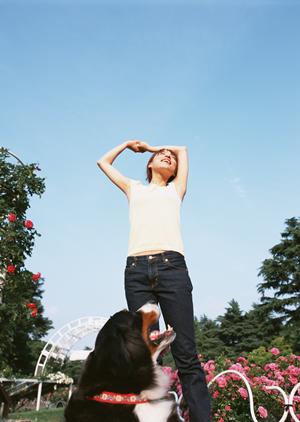 豆柴の子犬販売も行っているショップ