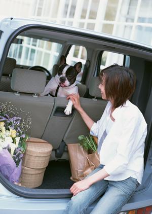 ペット保険で手術費用の負担が軽減